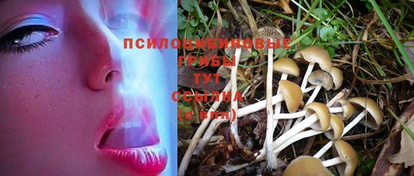 герыч Карпинск
