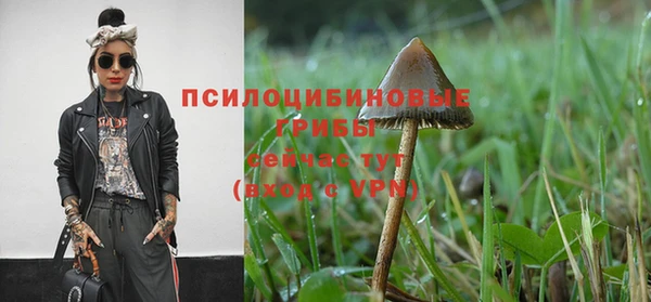 марки nbome Касимов